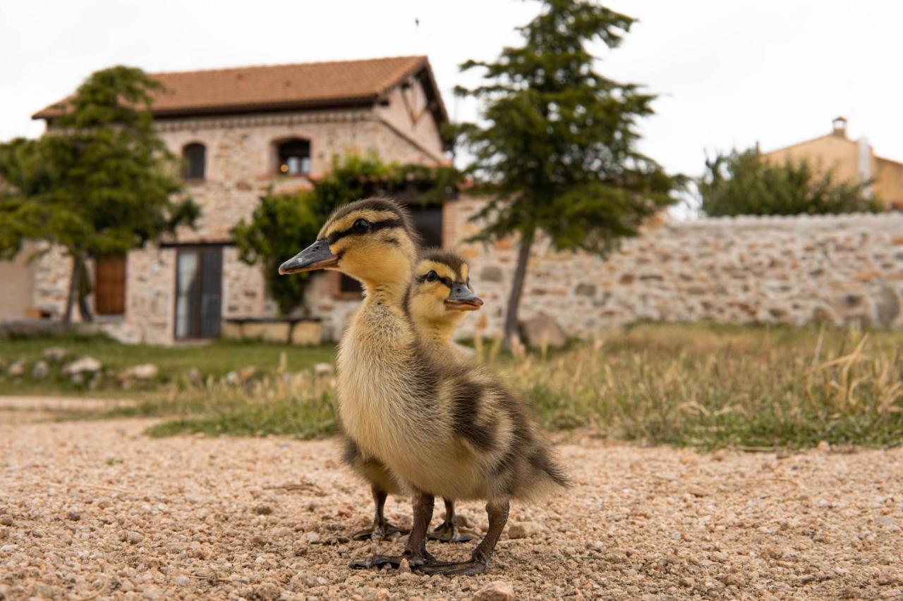 Вилла La Casa Del Buho Santa Maria la Real de Nieva Экстерьер фото